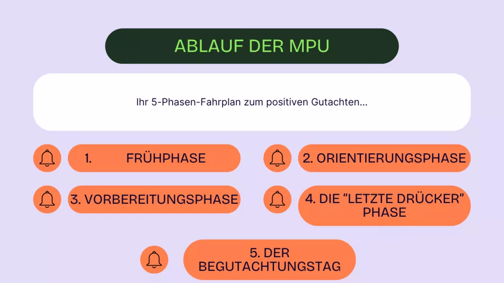 Der Ablauf einer MPU Schritt für Schritt in 5 Phasen erklärt
